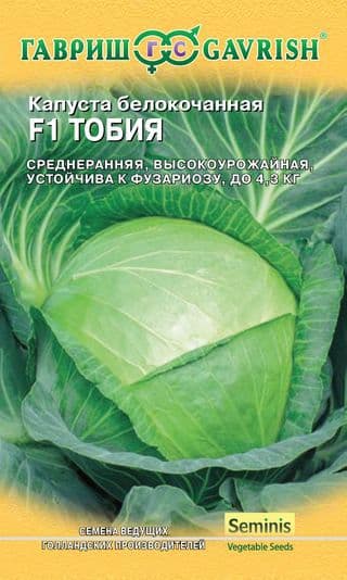Капуста белокоч. Тобия F1 для квашения (Голландия) фото