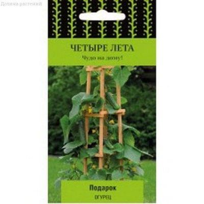 Огурец Подарок фото