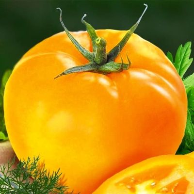 Томат Илья Муромец Томат Илья Муромец фото