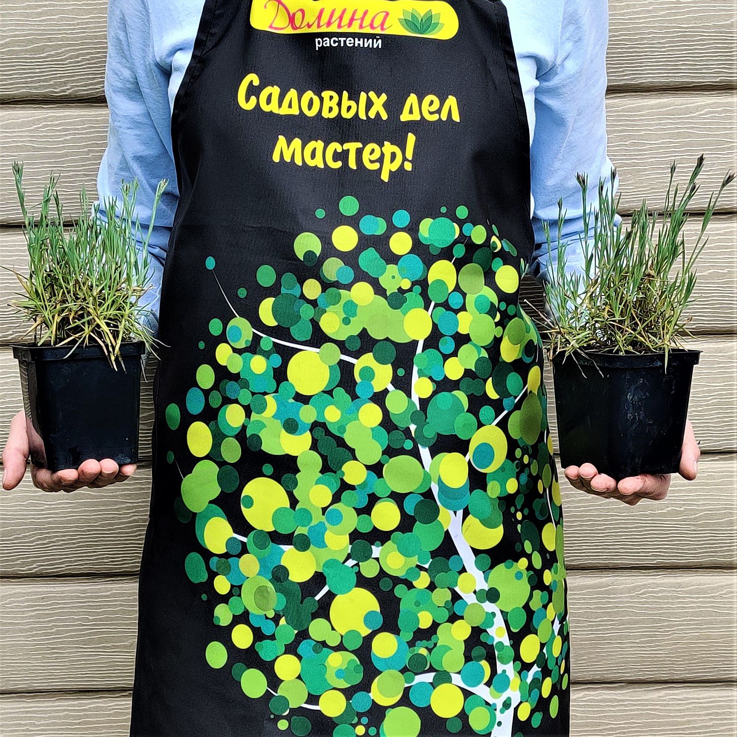 Гвоздика перистая "Дабл Роуз" Гвоздика перистая "Дабл Роуз" фото