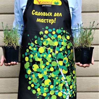 Гвоздика перистая "Дабл Роуз" Гвоздика перистая "Дабл Роуз" фото