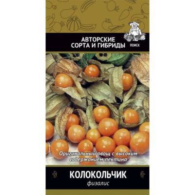 Физалис колокольчик фото