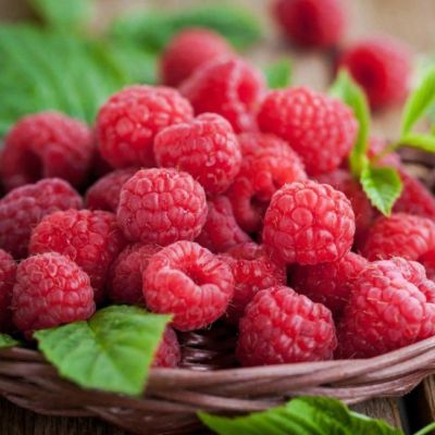 Малина Евразия/Ремонтантная фото