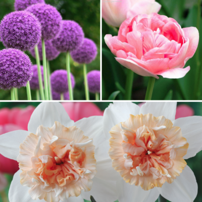 Этажный Микс №3 Этажный Микс №3 фото