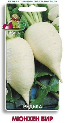 Редька Мюнхен Бир фото