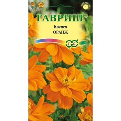 КОСМЕЯ МАХРОВАЯ ОРАНЖ КОСМЕЯ МАХРОВАЯ ОРАНЖ - Dolina-Sad.Ru