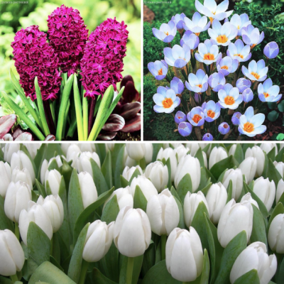 Этажный Микс №4 Этажный Микс №4 фото