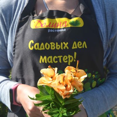 Лилия Эприкот Фадж Лилия Эприкот Фадж фото